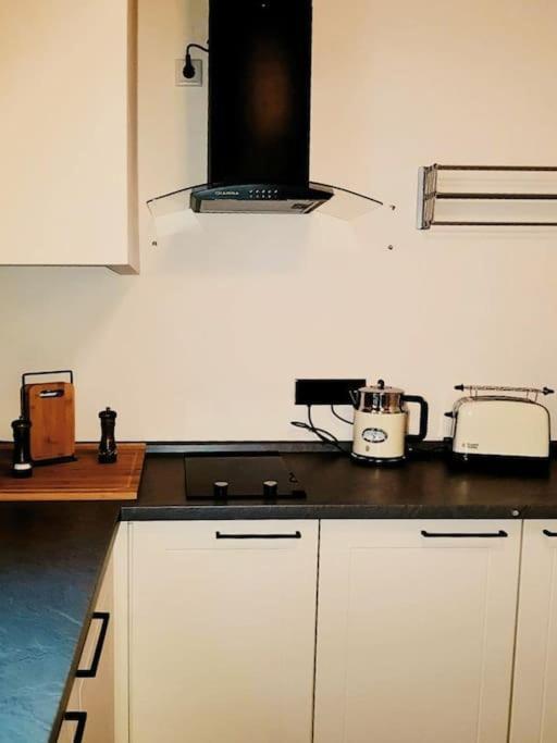 Komfortables Apartment Im Zentrum Erfurts Buitenkant foto