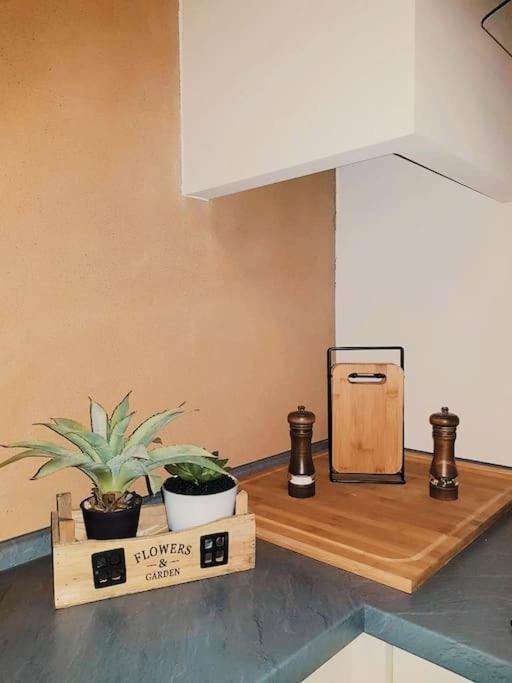Komfortables Apartment Im Zentrum Erfurts Buitenkant foto